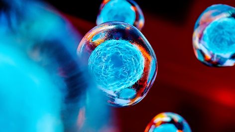 banner boj proti rakovine epo 500 | WebJET CMS