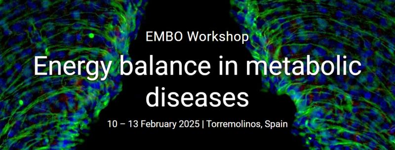 banner embo energy balance 800 | WebJET CMS