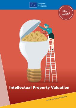 banner intellectual property valuation 300 | WebJET CMS