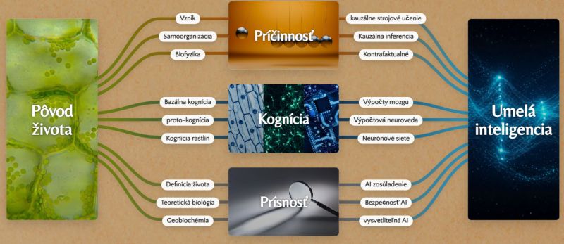 banner interdisciplinary school 2026 valencia 2 800 | WebJET CMS
