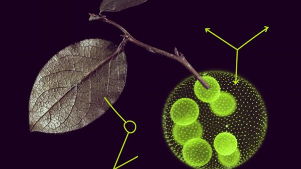 banner msca postdoktoranske stipendia 600 | WebJET CMS