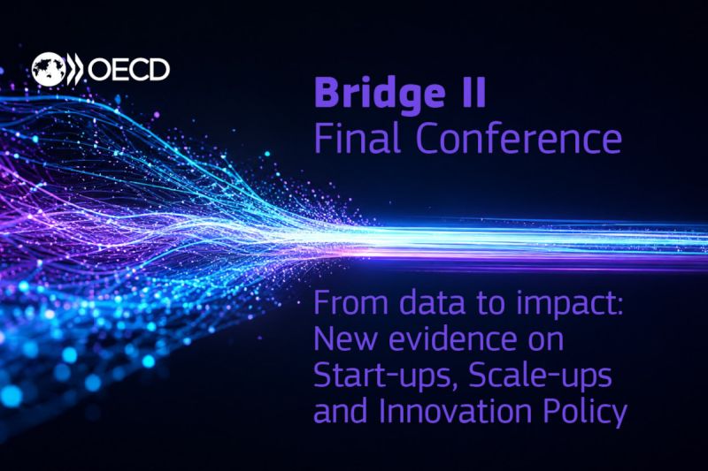 banner oecd bridgeii 800 | WebJET CMS