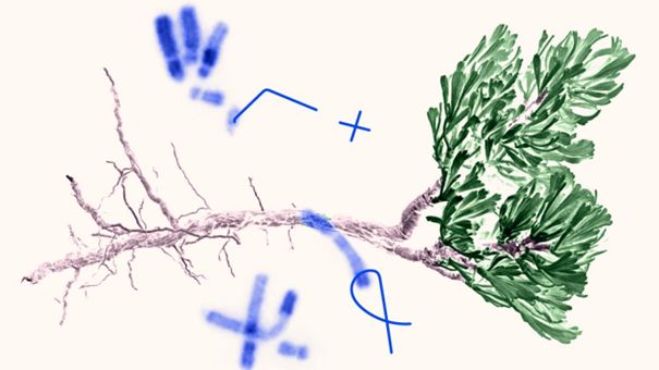 banner vyzva msca 2025 600 | WebJET CMS