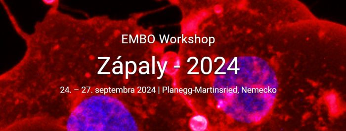 banner zapaly embo 700 | WebJET CMS