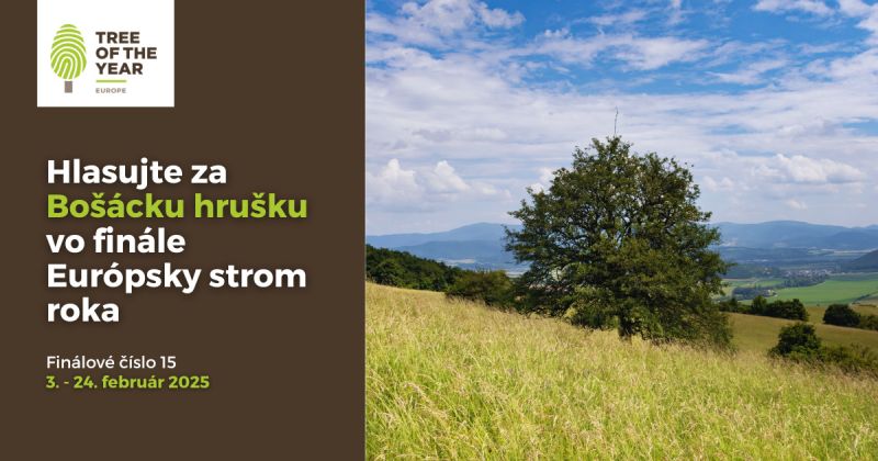 banner eu strom roka 2025 | WebJET CMS