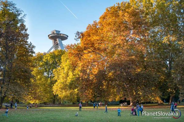 banner hackathon 3d monitorovani mestskych stromov 600 | WebJET CMS
