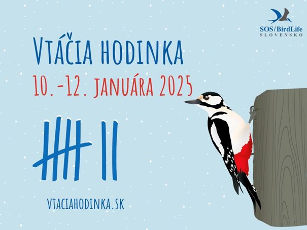 banner vtacia hodinka 600 | WebJET CMS