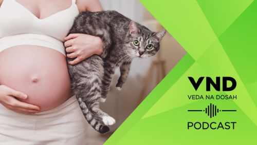 banner Podcast: Toxoplazmóza