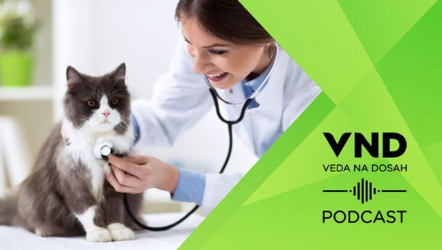 banner podcast macky 600 | WebJET CMS