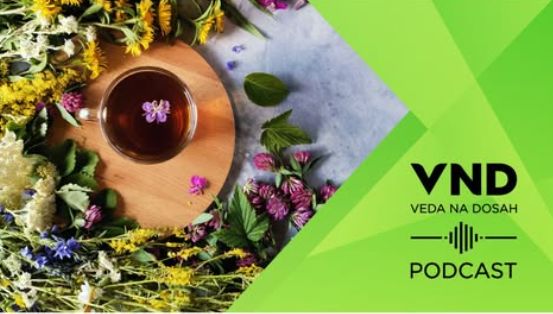 podcast hodnota liecivych rastlin 600 | WebJET CMS