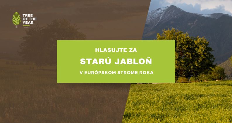 banner ekopolis europsky strom roka 800 | WebJET CMS
