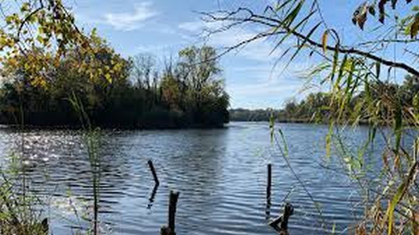 banner dunaj reg vyzva 600 | WebJET CMS