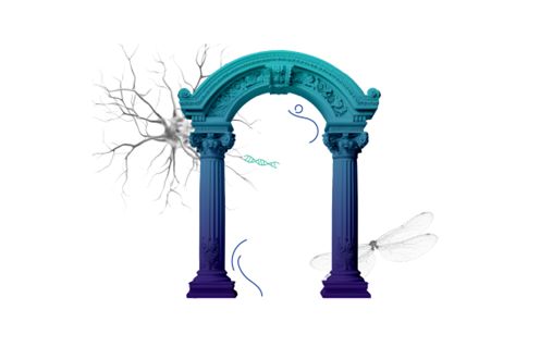 banner msca vyzva vyberte europu 500 | WebJET CMS