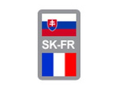 Slovensko – Francúzsko 2024