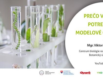 Bratislavská vedecká cukráreň: Prečo v biológii potrebujeme modelové organizmy? – na YouTube