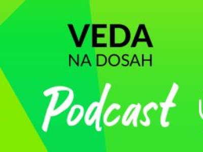 Podcast: Ako sa moderná technológia inšpiruje správaním netopierov?